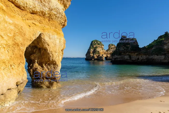 : idyllic beautiful beach with rock formations and : idyllic beautiful beach with rock formations and
