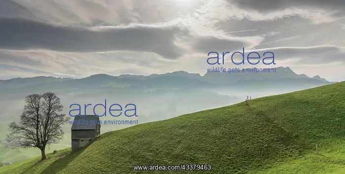 : Idyllic and peaceful mountain landscape with a secluded : Idyllic and peaceful mountain landscape with a secluded
