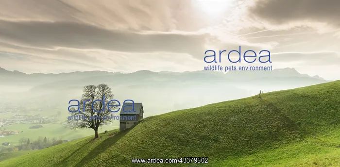 : Idyllic and peaceful mountain landscape with a secluded : Idyllic and peaceful mountain landscape with a secluded