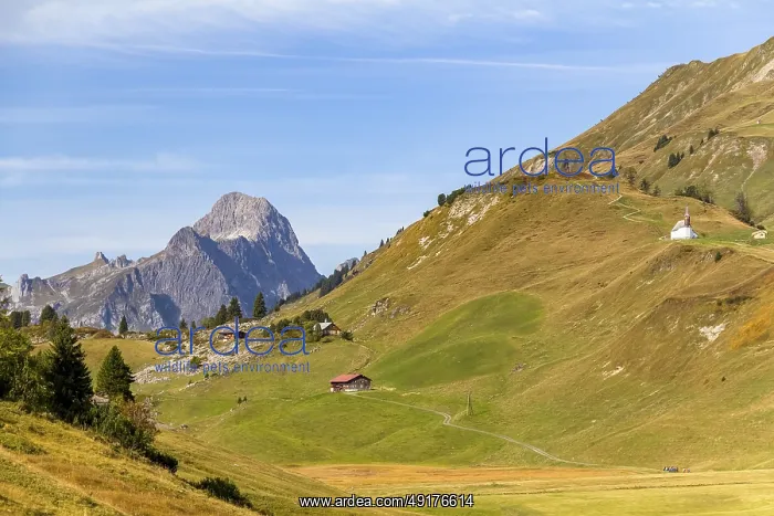 : Idyllic scenery around Warth, a municipality in the district of Bregenz in the Austrian state of Vorarlberg : Idyllic scenery around Warth, a municipality in the district of Bregenz in the Austrian state of Vorarlberg
