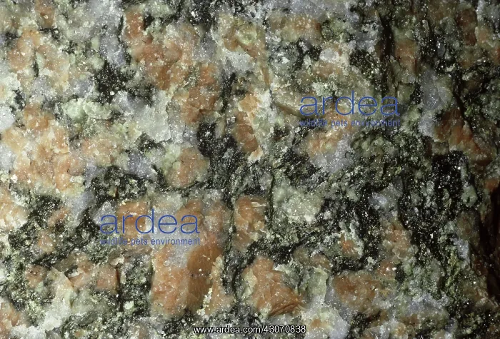 : Igneous Rock : Igneous Rock