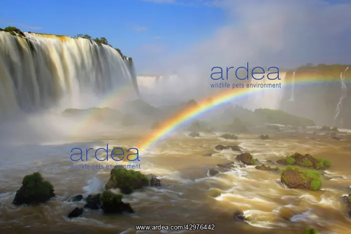 : Iguacu Falls / Iguazu Falls / Iguassu Falls - double : Iguacu Falls / Iguazu Falls / Iguassu Falls - double