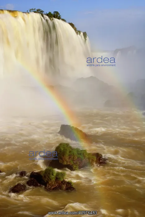  : Iguacu Falls  /  Iguazu Falls  /  Iguassu Falls - double