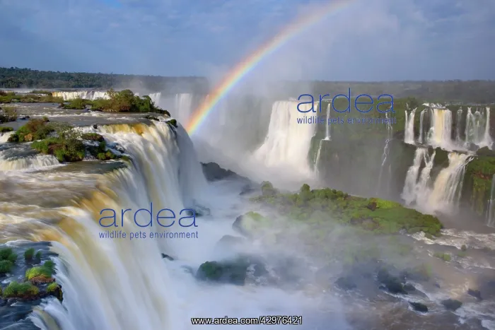 : Iguacu Falls / Iguazu Falls / Iguassu Falls - rainbow : Iguacu Falls / Iguazu Falls / Iguassu Falls - rainbow