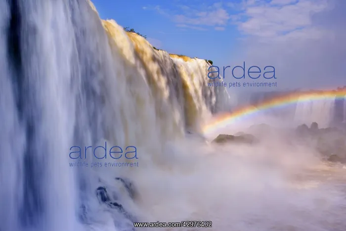 : Iguacu Falls / Iguazu Falls / Iguassu Falls - rainbow : Iguacu Falls / Iguazu Falls / Iguassu Falls - rainbow