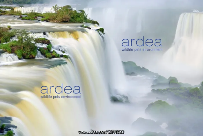 : Iguacu Falls / Iguazu Falls / Iguassu Falls - water : Iguacu Falls / Iguazu Falls / Iguassu Falls - water