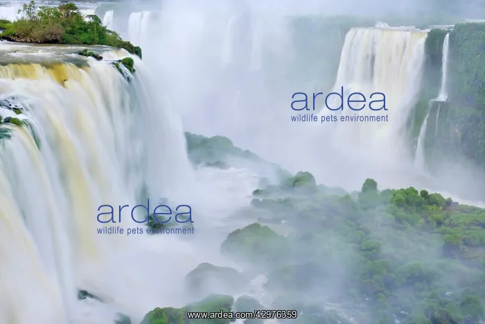 : Iguacu Falls / Iguazu Falls / Iguassu Falls - water : Iguacu Falls / Iguazu Falls / Iguassu Falls - water