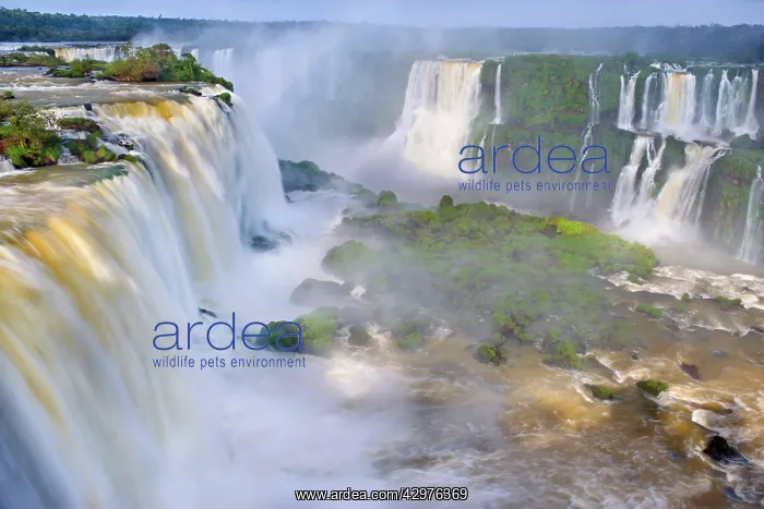: Iguacu Falls / Iguazu Falls / Iguassu Falls - water : Iguacu Falls / Iguazu Falls / Iguassu Falls - water