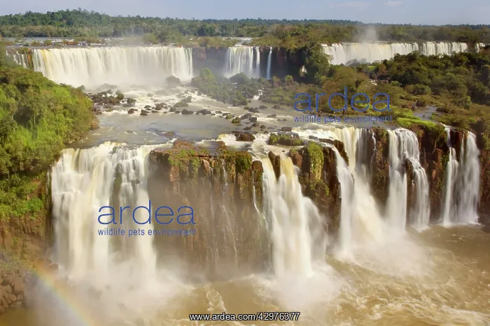  : Iguacu Falls  /  Iguazu Falls  /  Iguassu Falls - water