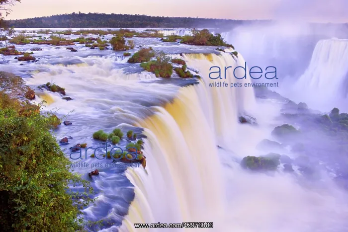 : Iguacu Falls / Iguazu Falls / Iguassu Falls - water : Iguacu Falls / Iguazu Falls / Iguassu Falls - water