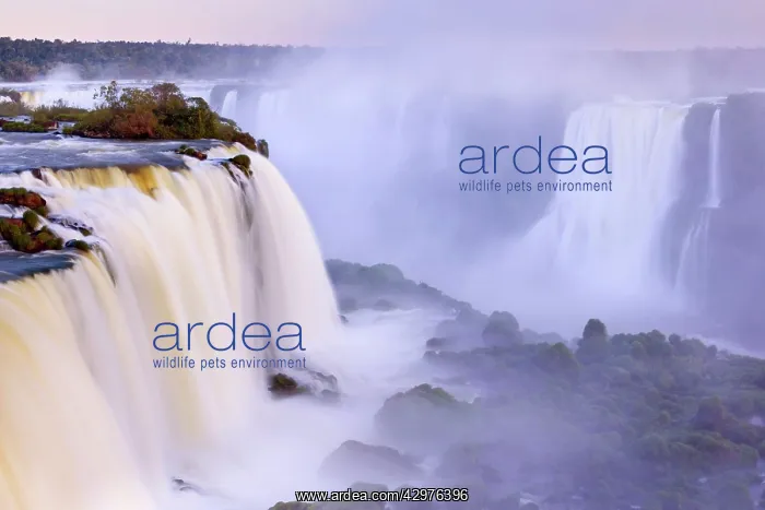 : Iguacu Falls / Iguazu Falls / Iguassu Falls - water : Iguacu Falls / Iguazu Falls / Iguassu Falls - water