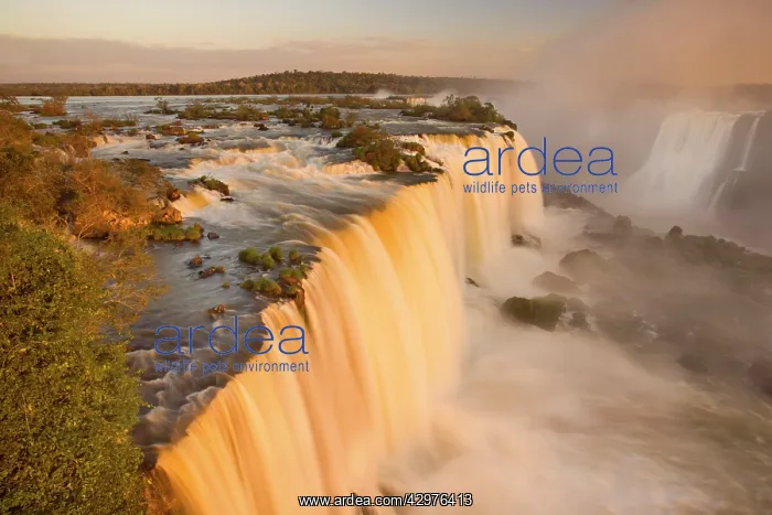 : Iguacu Falls / Iguazu Falls / Iguassu Falls - water : Iguacu Falls / Iguazu Falls / Iguassu Falls - water