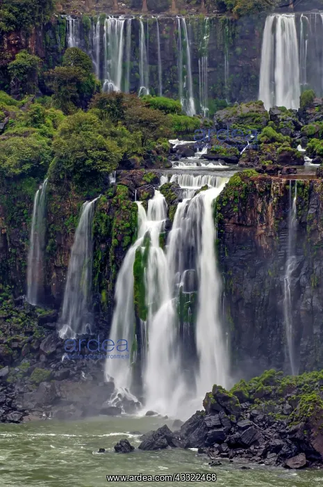 : Iguacu Waterfalls, detail view, the largest waterfalls : Iguacu Waterfalls, detail view, the largest waterfalls