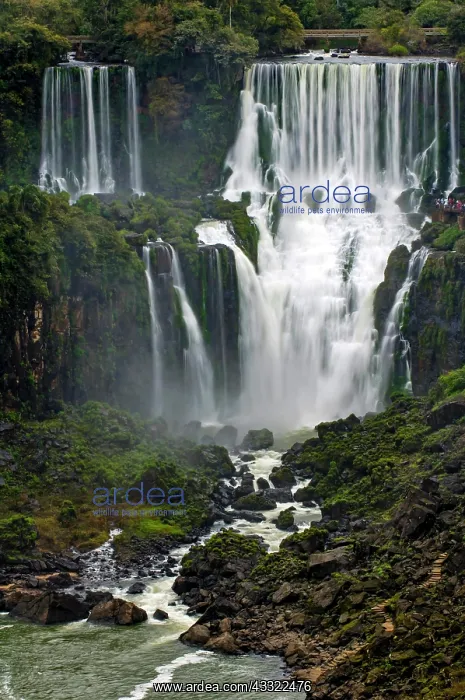 : Iguacu Waterfalls, detail view, the largest waterfalls : Iguacu Waterfalls, detail view, the largest waterfalls