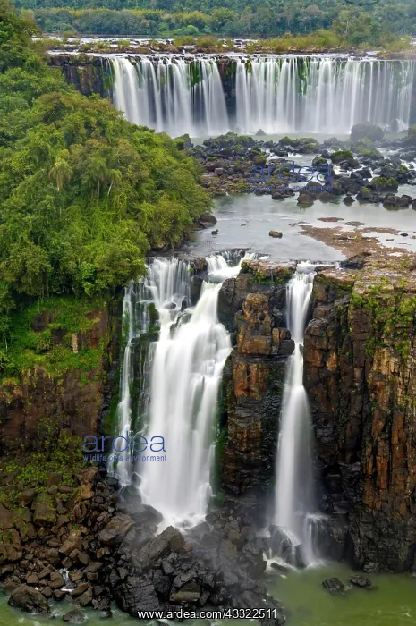 : Iguacu Waterfalls, detail view, the largest waterfalls : Iguacu Waterfalls, detail view, the largest waterfalls