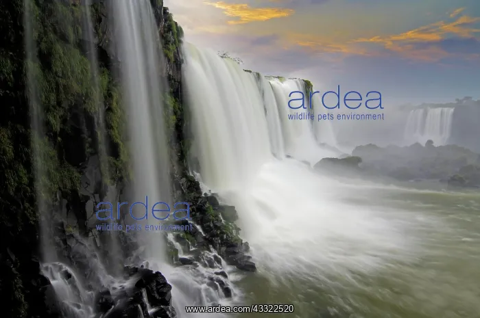 : Iguacu Waterfalls, detail view, the largest waterfalls : Iguacu Waterfalls, detail view, the largest waterfalls
