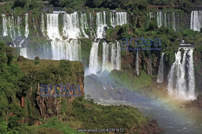 : Iguaz Waterfalls : Iguaz Waterfalls