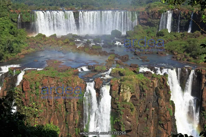 : Iguaz Waterfalls : Iguaz Waterfalls