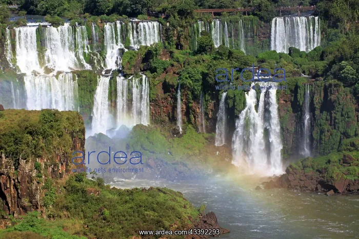 : Iguaz Waterfalls : Iguaz Waterfalls