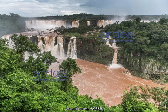 : Iguaz&, x2837874;erfalls of the river Iguaz&, x2b208af;rder : Iguaz&, x2837874;erfalls of the river Iguaz&, x2b208af;rder