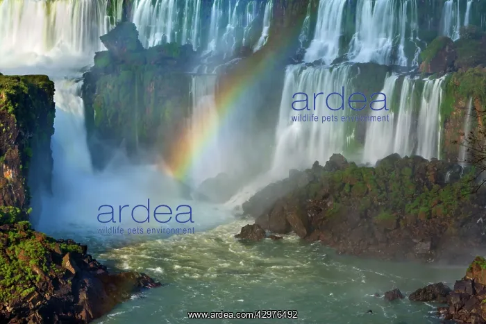 : Iguazu Falls / Iguacu Falls - rainbow created by : Iguazu Falls / Iguacu Falls - rainbow created by