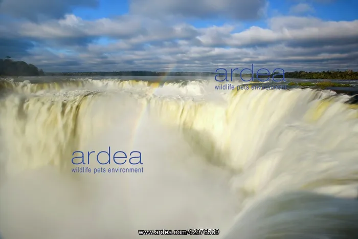 : Iguazu Falls / Iguacu Falls - rainbow created by : Iguazu Falls / Iguacu Falls - rainbow created by