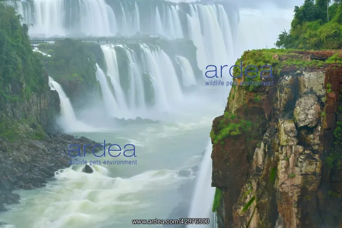: Iguazu Falls / Iguacu Falls - water masses of Iguazu : Iguazu Falls / Iguacu Falls - water masses of Iguazu