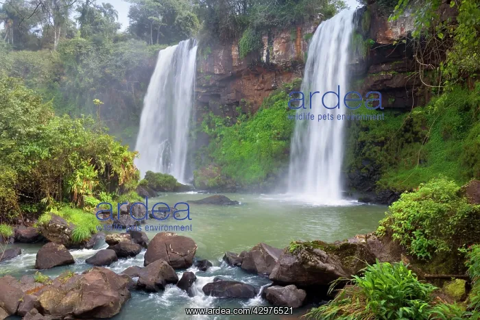 : Iguazu Falls / Iguacu Falls - water masses of Iguazu : Iguazu Falls / Iguacu Falls - water masses of Iguazu