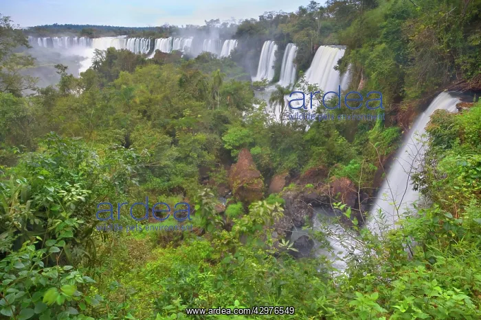 : Iguazu Falls / Iguacu Falls - water masses of Iguazu : Iguazu Falls / Iguacu Falls - water masses of Iguazu