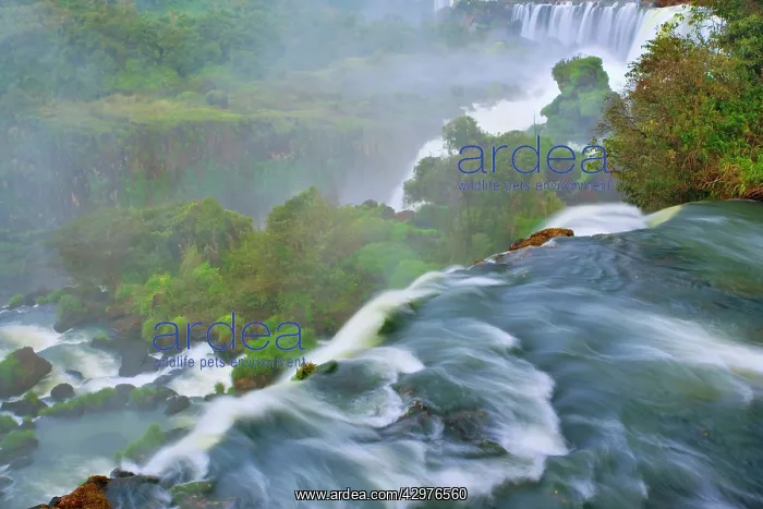 : Iguazu Falls / Iguacu Falls - water masses of Iguazu : Iguazu Falls / Iguacu Falls - water masses of Iguazu
