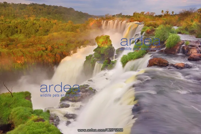 : Iguazu Falls / Iguacu Falls - water masses of Iguazu : Iguazu Falls / Iguacu Falls - water masses of Iguazu