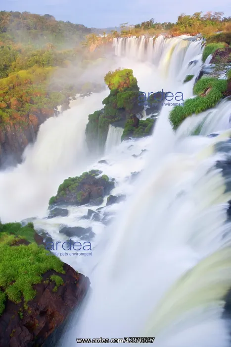 : Iguazu Falls / Iguacu Falls - water masses of Iguazu : Iguazu Falls / Iguacu Falls - water masses of Iguazu