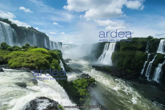 : Iguazu Falls, UNESCO World Heritage Site, Paran&, xe1; : Iguazu Falls, UNESCO World Heritage Site, Paran&, xe1;