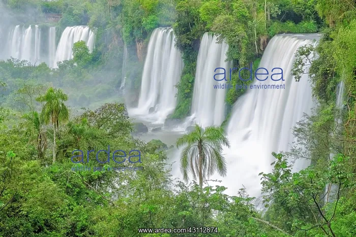 : Iguazu Falls, waterfall cascades on the Argentina : Iguazu Falls, waterfall cascades on the Argentina