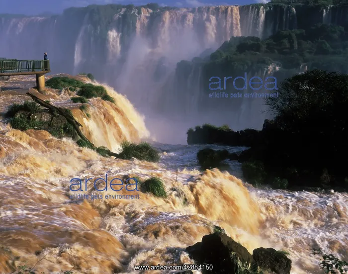 : Iguazu / Iguaca Waterfalls : Iguazu / Iguaca Waterfalls