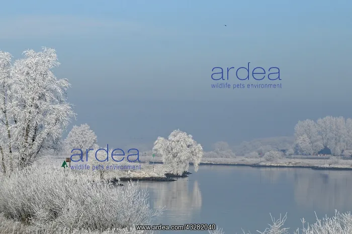  : ijssel