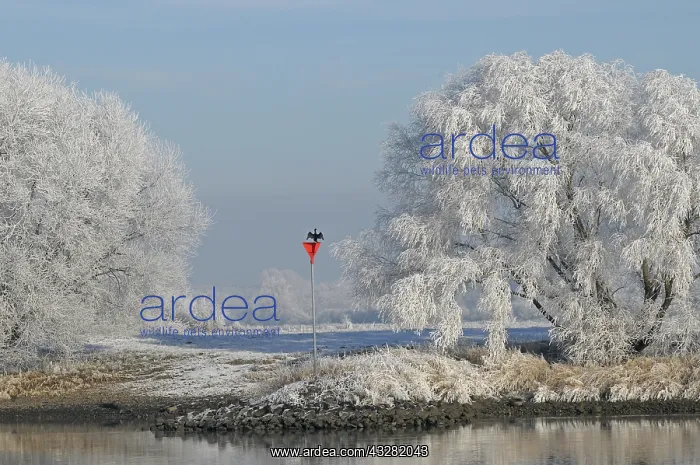  : ijssel