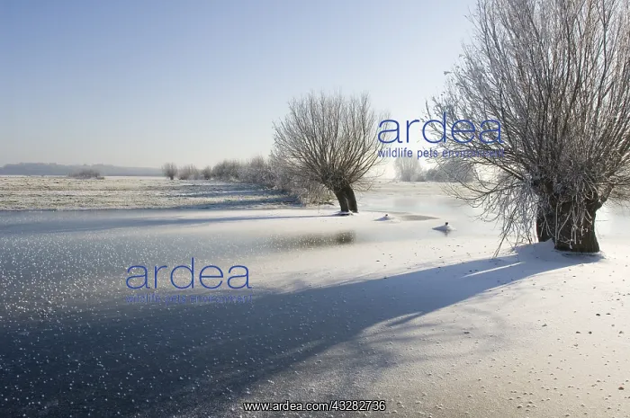  : ijssel