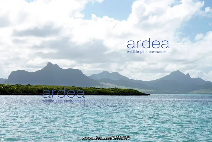 : Ile aux Aigrettes island : Ile aux Aigrettes island