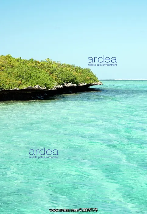 : Ile aux Aigrettes island : Ile aux Aigrettes island