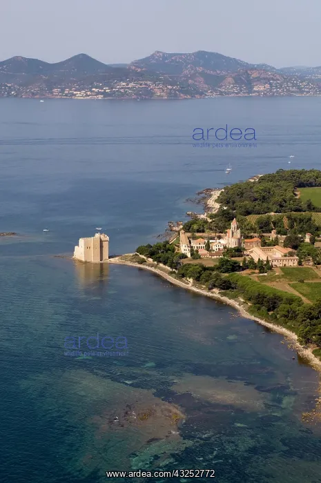: Ile Saint-Honorat, Iles de Lerins, View : Ile Saint-Honorat, Iles de Lerins, View