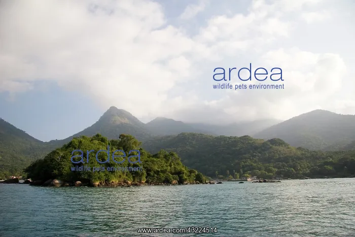 : Ilha Grande, Brazil. This island has been : Ilha Grande, Brazil. This island has been