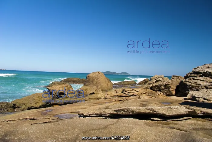 : Ilha Grande, Brazil. This island has been : Ilha Grande, Brazil. This island has been