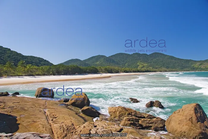 : Ilha Grande, Brazil. This island has been : Ilha Grande, Brazil. This island has been