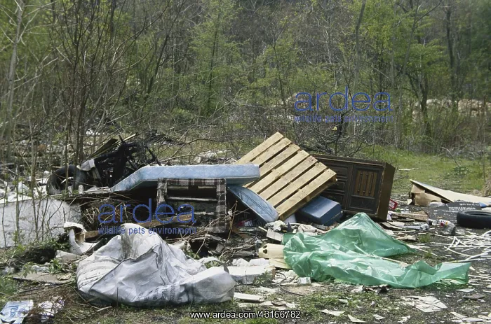 : Illegal Dump Site : Illegal Dump Site