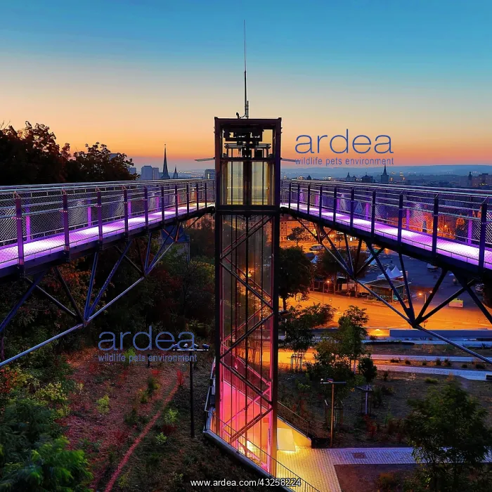 : Illuminated lift to the Petersberg plateau in the : Illuminated lift to the Petersberg plateau in the