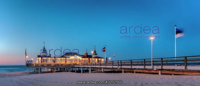  : Illuminated pier Ahlbeck at dusk, Usedom Island