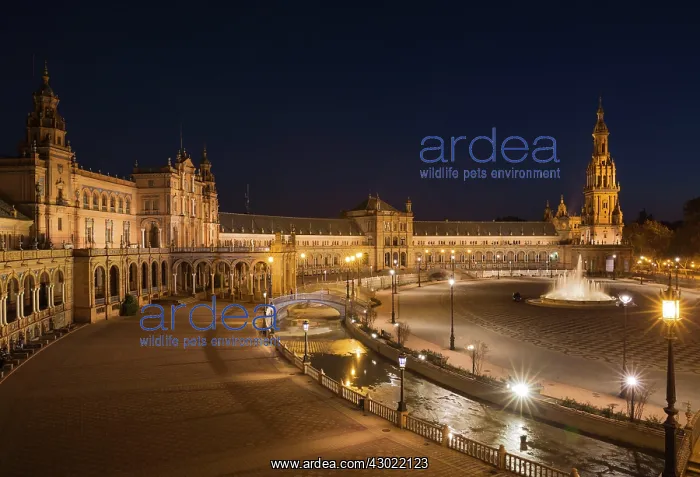 : The illuminated Plaza de Espana - at dusk : The illuminated Plaza de Espana - at dusk