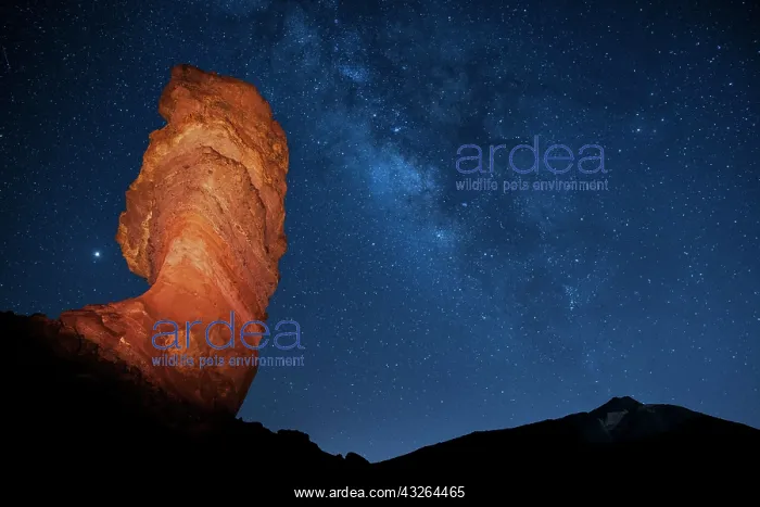 : Illuminated Roque Cinchado in front of Pico del : Illuminated Roque Cinchado in front of Pico del