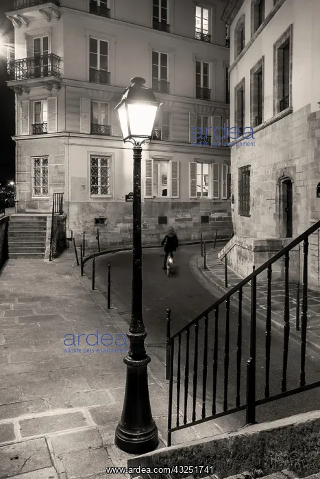 : Illuminated Side street in Paris, Ile-de-France : Illuminated Side street in Paris, Ile-de-France